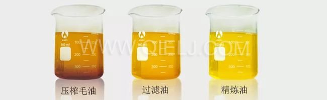 了解壓榨 浸出 精煉工藝出來(lái)的油 到底有什么區(qū)別？(圖1)