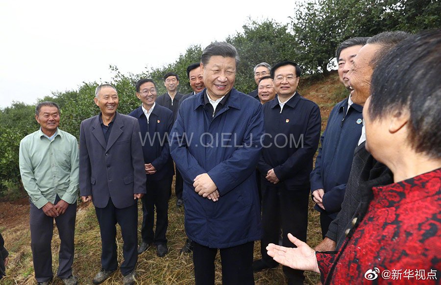 光山油茶籽榨油設(shè)備，山茶籽油榨油機(jī)廠家(圖2)