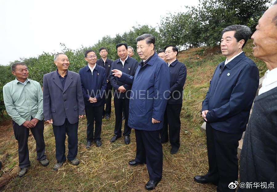 光山油茶籽榨油設(shè)備，山茶籽油榨油機(jī)廠家(圖3)