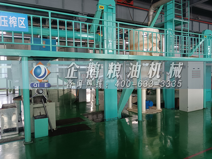 企鵝牌茶籽油雙螺桿榨油機，用心制造獲得客戶認可(圖2)