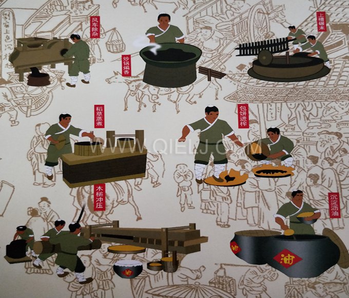 芝麻油提取加工，企鵝糧油機(jī)械生產(chǎn)色香味俱佳的油脂(圖2)